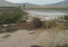 Τα ακαθάριστα κανάλια «έφεραν» πλημμυρισμένα χωράφια στα Φάρσαλα