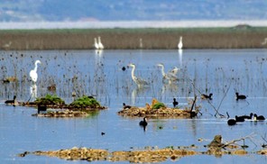 «Υπό παρακολούθηση» η ποιότητα του νερού στη λίμνη Κάρλα
