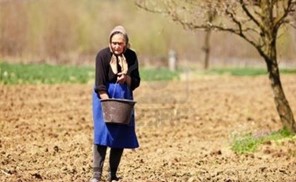 Η ισότητα των φύλων πλησιάζει και το χωράφι – Έρευνα και στη Θεσσαλία