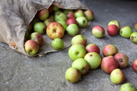 Τρακτέρ βγαίνουν στην Αγιά, δυσαρέσκεια για συνδεδεμένες και αποζημιώσεις μηλοπαραγωγών