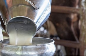 Σύσκεψη για την τιμή του αιγοπρόβειου γάλακτος στη Λάρισα
