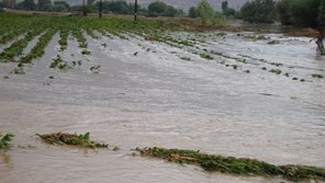 5.000 στρέμματα «πνίγηκαν» στο Καλαμάκι Λάρισας