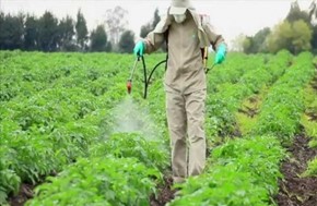 ΔΑΟ Π.Ε. Λάρισας: Ξεκινούν έλεγχοι υπολειμμάτων φυτοφαρμάκων σε προϊόντα φυτικής προέλευσης