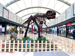 «Γίνε παλαιοντολόγος δεινοσαύρων για μια ήμερα» στο Fashion City Outlet με το Μουσείο Φυσικής Ιστορίας Βόλου