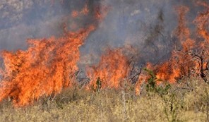 Πυροσβεστική Υπηρεσία Λάρισας: "Καμπάνα" σε 70χρονο για φωτιά σε ξερά χόρτα