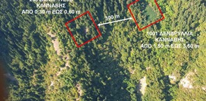 Drones της ΕΛ.ΑΣ. «έπιασαν» δύο τεράστιες χασισοφυτείες στην Καρδίτσα