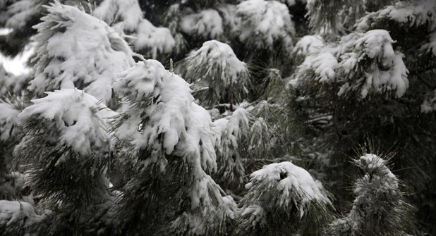 Eτοιμασίες για τον επερχόμενο χιονιά από την Περιφέρεια Θεσσαλίας 