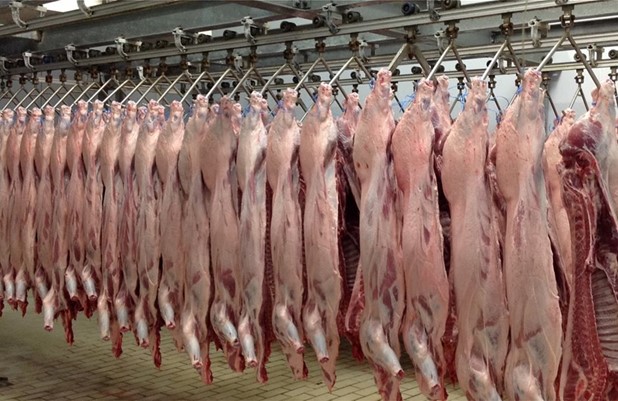 Θεσσαλία: Ανακατεύτηκε η αγορά για τα αρνιά, ζημιωμένοι οι κτηνοτρόφοι