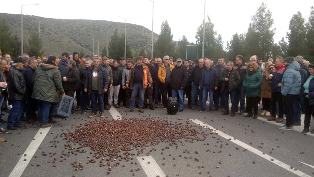Oι καστανοπαραγωγοί απέκλεισαν συμβολικά τον κόμβο Γυρτώνης 