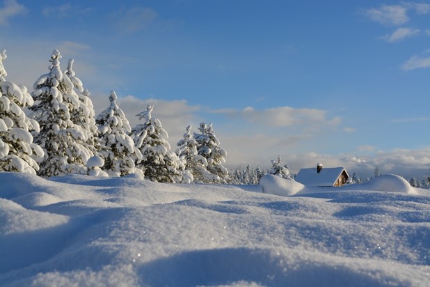 Τι είναι τα "Νικολοβάρβαρα" που σηματοδοτούν την επίσημη έναρξη του Χειμώνα 